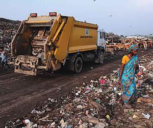 From Waste to Worth: Lessons from India's Waste Pickers