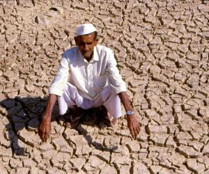 The Making of Maharashtra’s Agrarian Tragedy