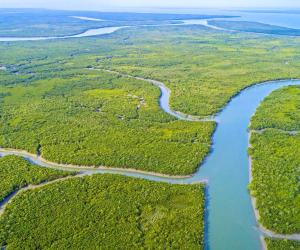 Driving Climate Accountability