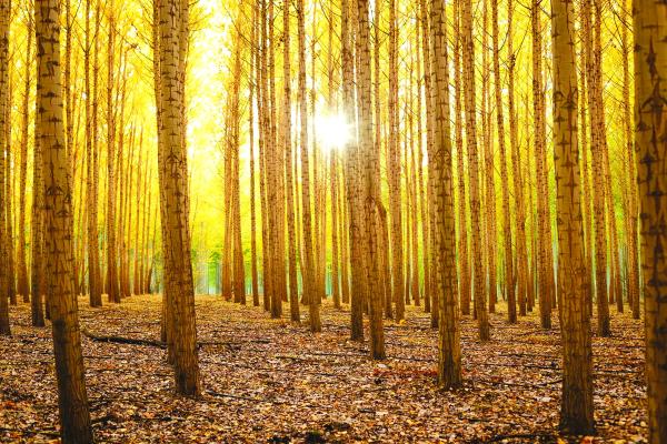 Innovation that helps in maintaining environment