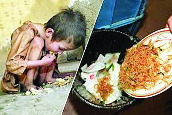 Food Waste vs. Hunger: Our National Contradiction