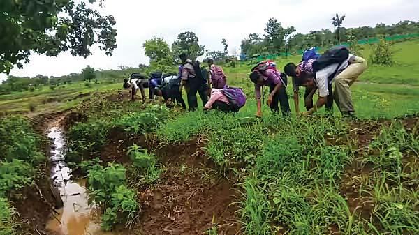 A Living Classroom for Environmental Learning