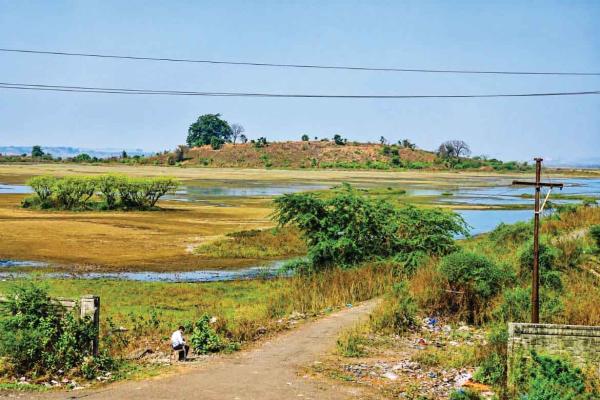 Panje wetland moves closer to legal protection