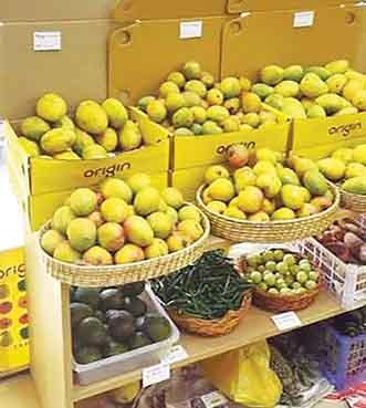 Maharashtra’s Agri Leap into Europe