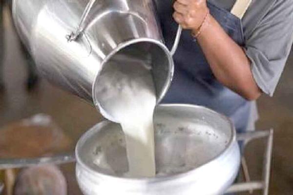 Milk price hike set to squeeze festive budgets