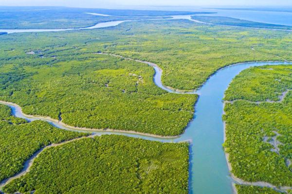 Driving Climate Accountability